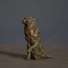 Australian Shepherd brons miniature Brigitte Boss