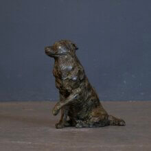 Hondenbeeld Australian Shepherd brons