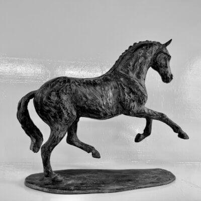 Beeld paard dressuur uitgestrekte gallop een been